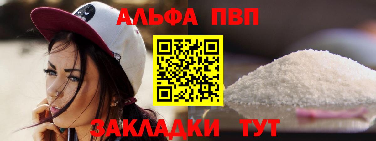 A PVP СК Кингисепп