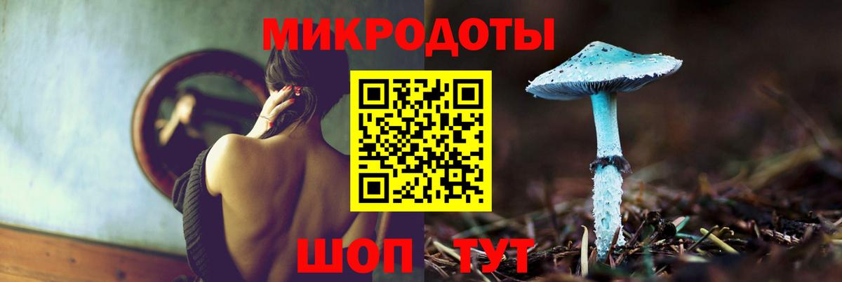Кингисепп  Псилоцибиновые грибы прущие грибы  Вход с VPN 